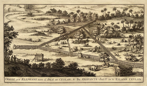 Sri Lanka Ceylon Olifantenjacht Elephant Hunt - J van der Schley - 1753