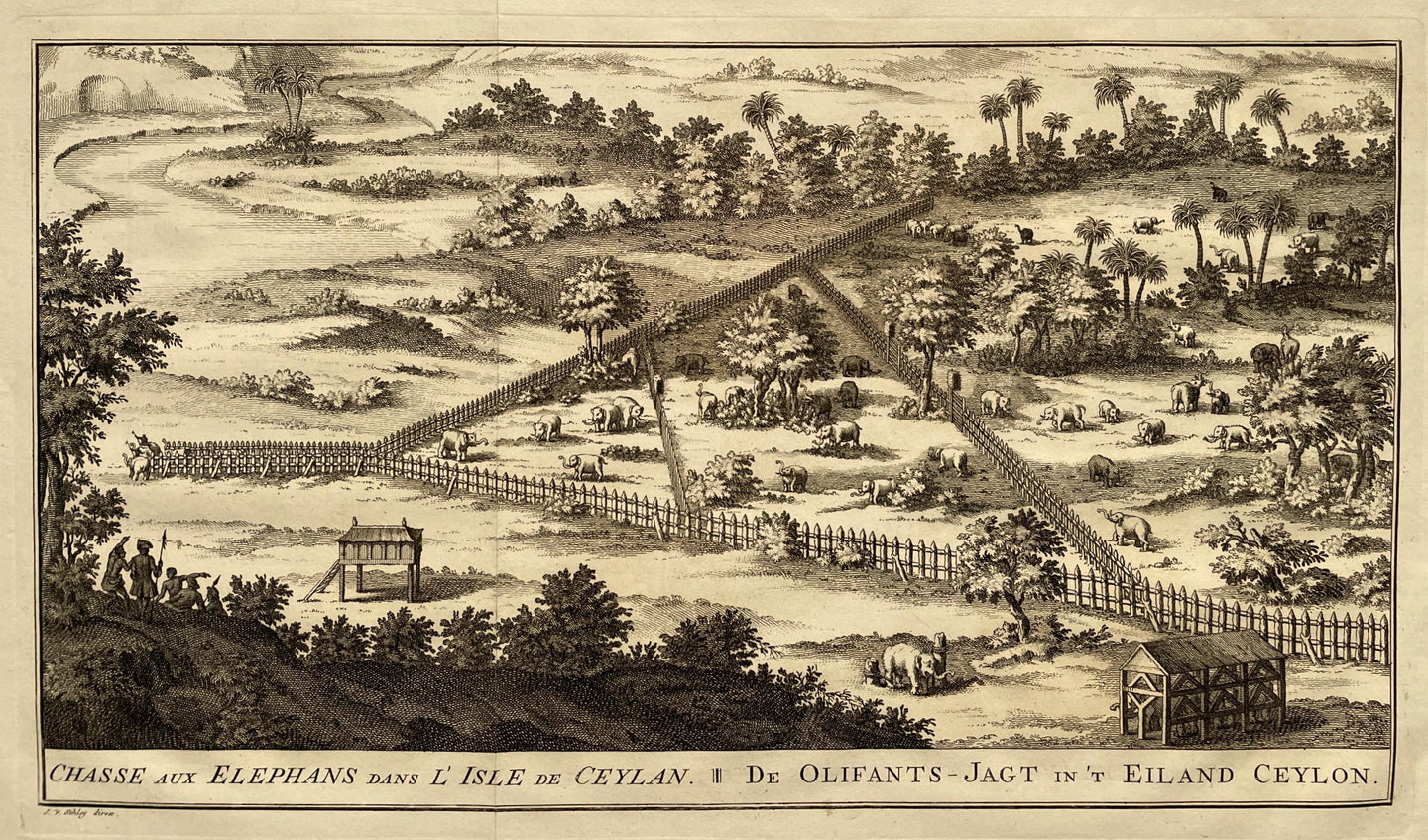 Sri Lanka Ceylon Olifantenjacht Elephant Hunt - J van der Schley - 1753