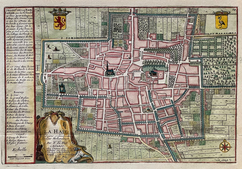 Den Haag Stadsplattegrond van 's-Gravenhage - N de Fer - 1705