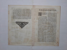 Afbeelding in Gallery-weergave laden, Den Haag Stadsplattegrond in vogelvluchtperspectief van &#39;s-Gravenhage - G Braun &amp; F Hogenberg / J Janssonius - 1657