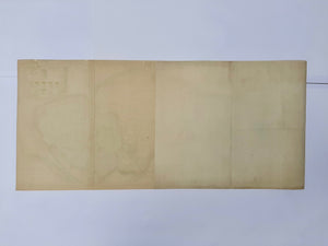 Schouwen-Duiveland - I Tirion / C De Kanter - 1748