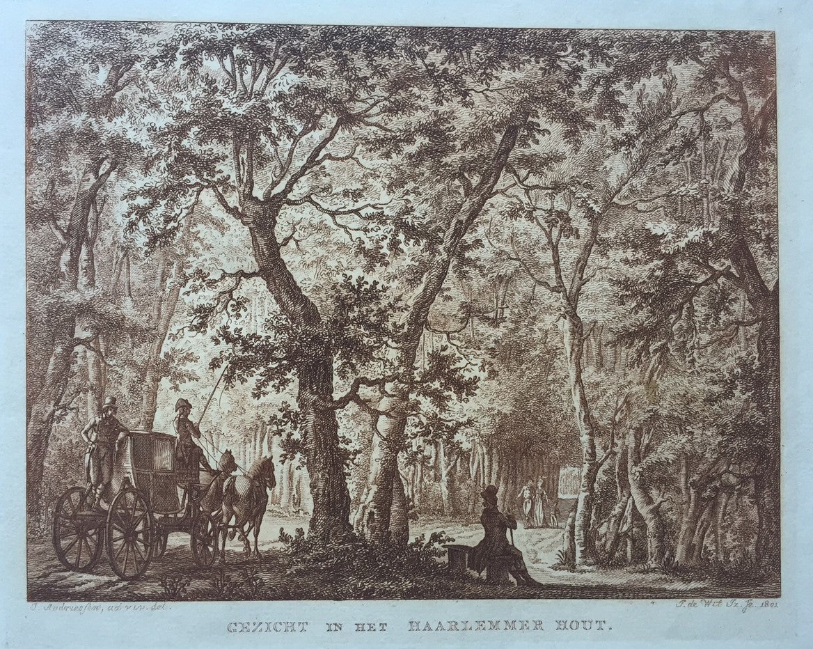 Haarlem Haarlemmerhout - I de Wit / J Andriessen - 1801