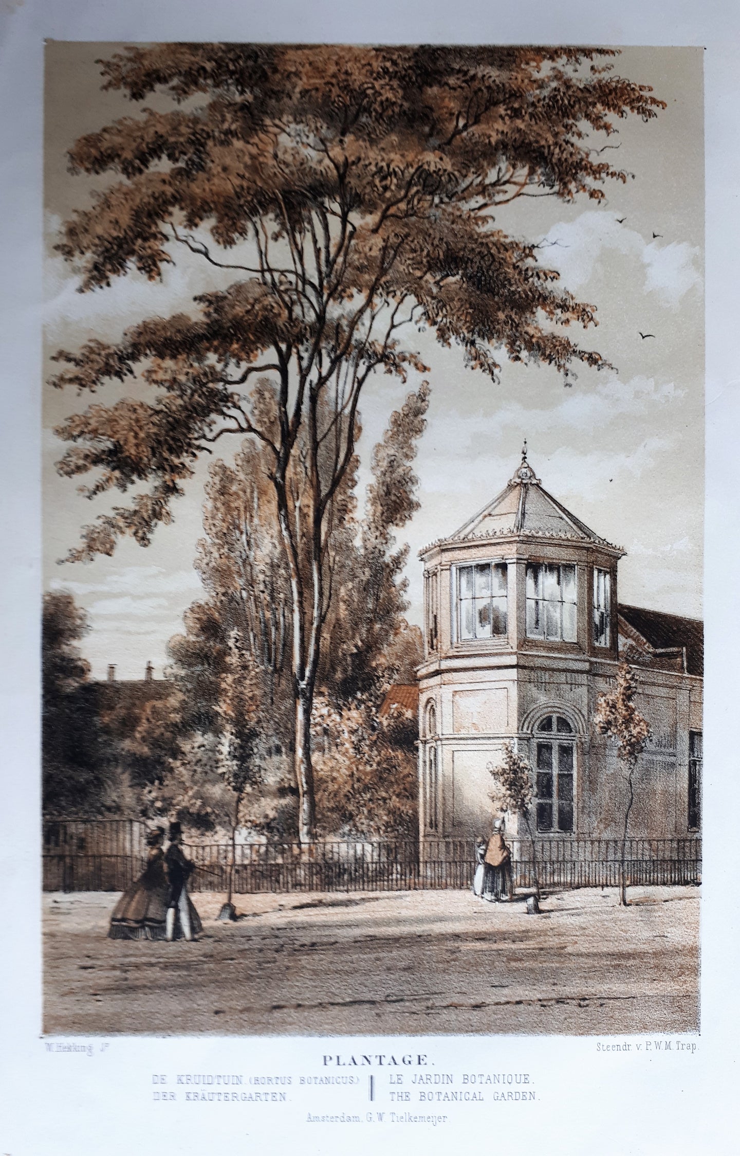 Amsterdam Hortus Botanicus - W Hekking jr/ GW Tielkemeijer - 1861