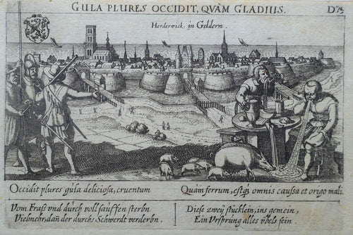 Harderwijk - D Meisner - 1625